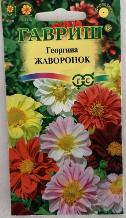 Георгина Жаворонок , смесь 0,3гр