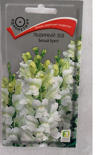 Львиный зев (Антирринум) Белый букет