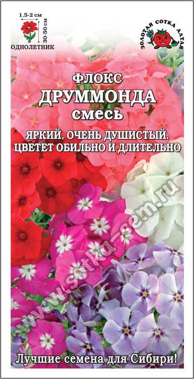Флокс Друммонда смесь