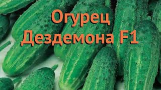 Огурец Дездемона F1 АП