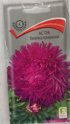 Астра (однолетняя) Василиса прекрасная