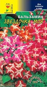 Бальзамин Звездочка смесь /Цвет сад/ Цв.пак