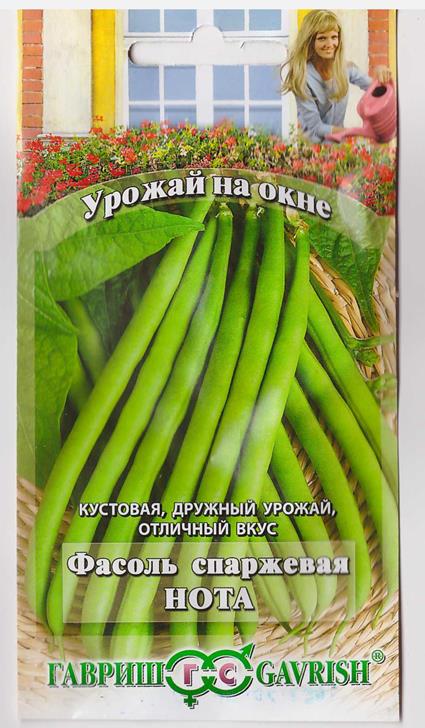 Фасоль Нота урожай на окне