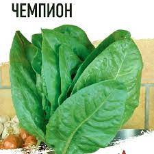 Щавель Чемпион АП