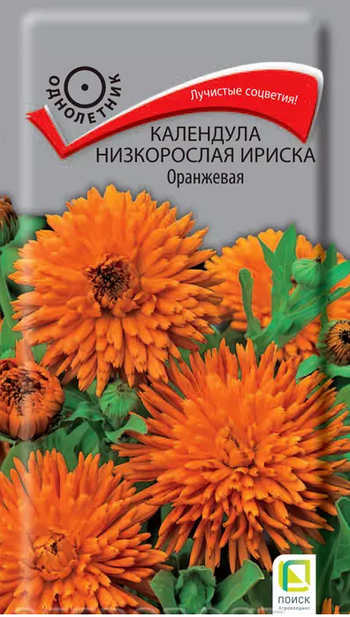 Календула низкорослая Ириска Оранжевая