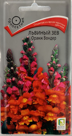 Львиный зев (Антирринум) Оранжевый Вондер
