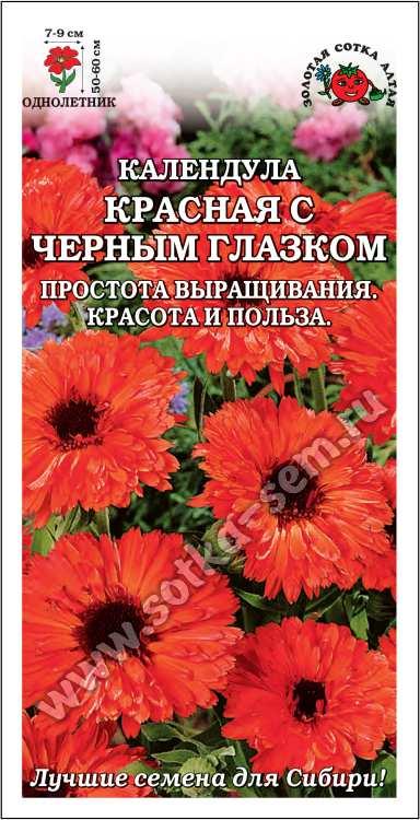 Календула Красная с черным глазком