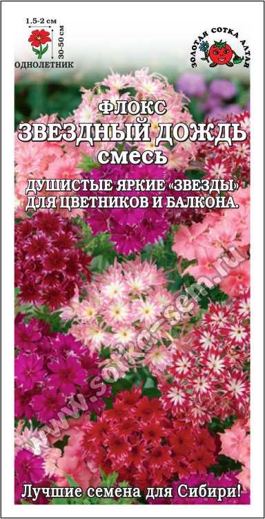 Флокс Звездный дождь
