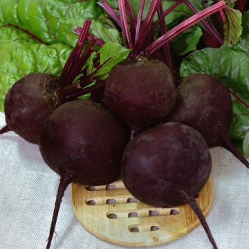 Свекла Мулатка (белая упаковка)