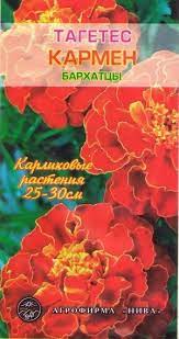 Тагетес Бархатцы Кармен АП